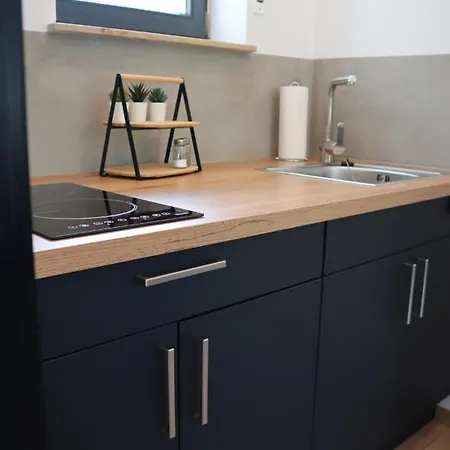 Sayntal - Blick Auf Schloss Sayn Apartman *